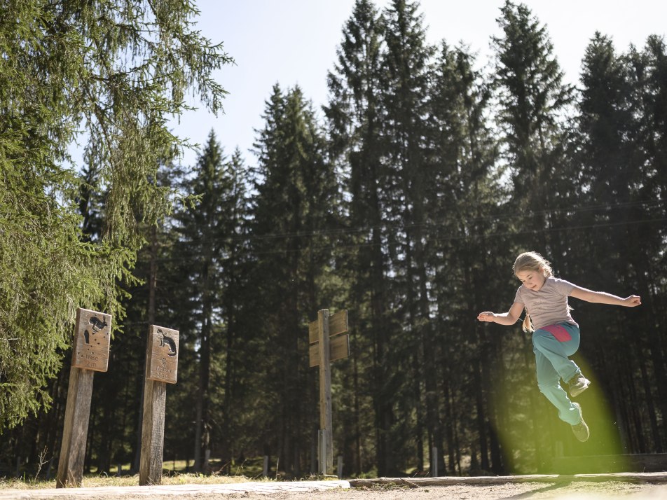 Auf dem Walderlebnispfad am Lautersee bei Mittenwald, © Alpenwelt Karwendel | Philipp Gülland, PHILIPP GUELLAND