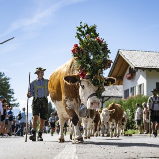 Almabtrieb mit Dorffest und Bauernmarkt in Krün, © Alpenwelt Karwendel / Pierre Johne