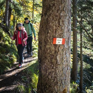 2 Wanderer auf dem Weg zur Brunnsteinhütte im Wald, © Dietmar Denger