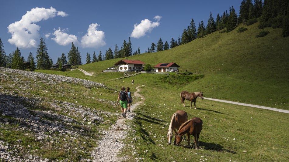 Wanderung auf die Fischbachalm bei Krün, © Alpenwelt Karwendel | Pierre Johne