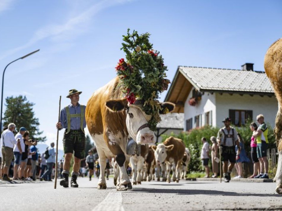 Krüner Almabtrieb mit Dorffest u. Bauernmarkt, © Alpenwelt Karwendel / Pierre Johne