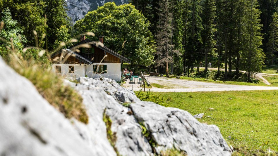 Vereiner Alm 5431, © Alpenwelt Karwendel | Zugspitz Region GmbH | Erika Sprengler