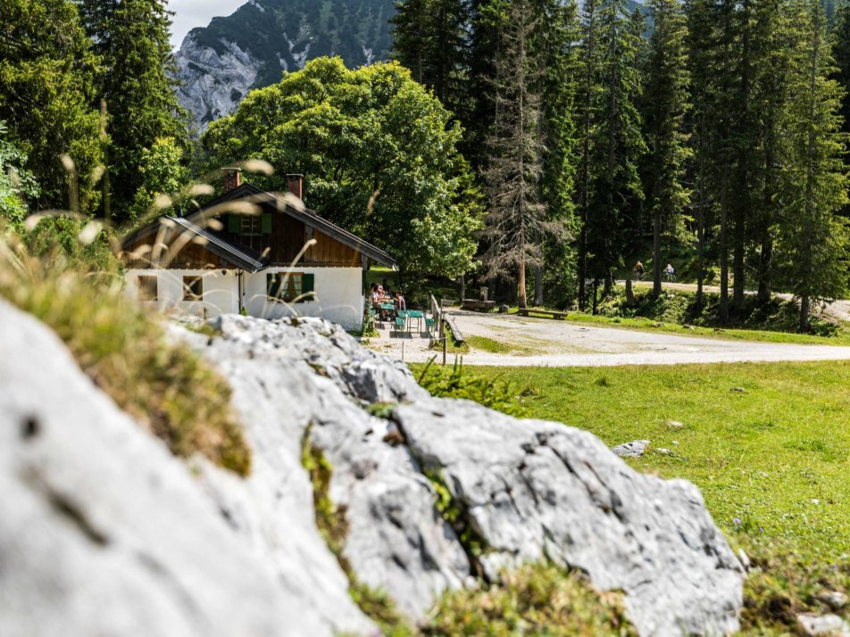 Vereiner Alm 5431, © Alpenwelt Karwendel | Zugspitz Region GmbH | Erika Sprengler