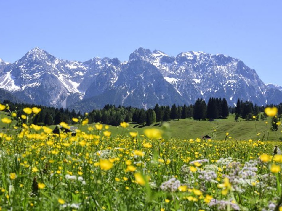 Wildkräuterwanderung mit Danny Böttger, © Alpenwelt Karwendel | Stefan Eisend