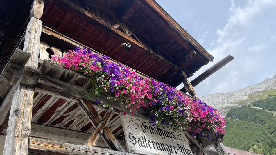 Halleranger Alm, © Christina Pogrzeba