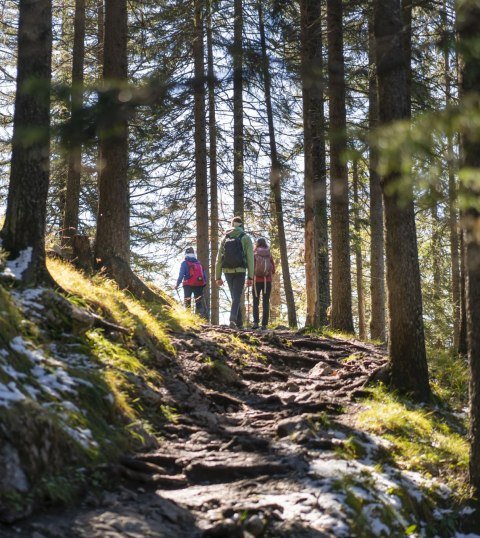 Ob Waldsteig, Gipfelgrat oder flache Wege - in der Alpenwelt Karwendel ist für jeden Naturfan was dabei!, © Alpenwelt Karwendel | Dietmar Denger