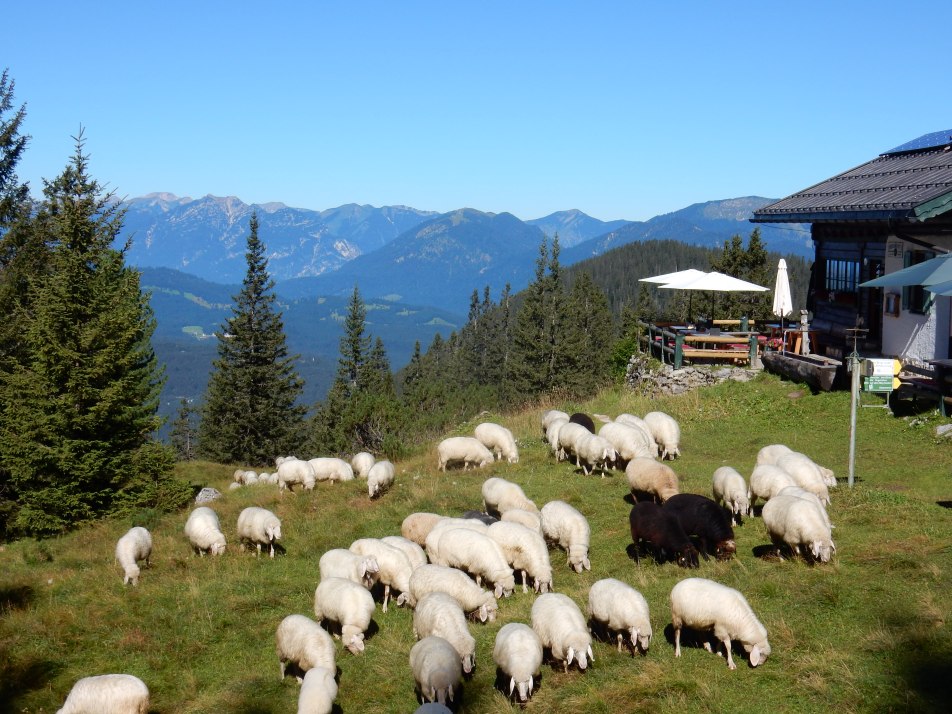 © Alpenwelt Karwedel | Hochlandhütte Birgit Müller