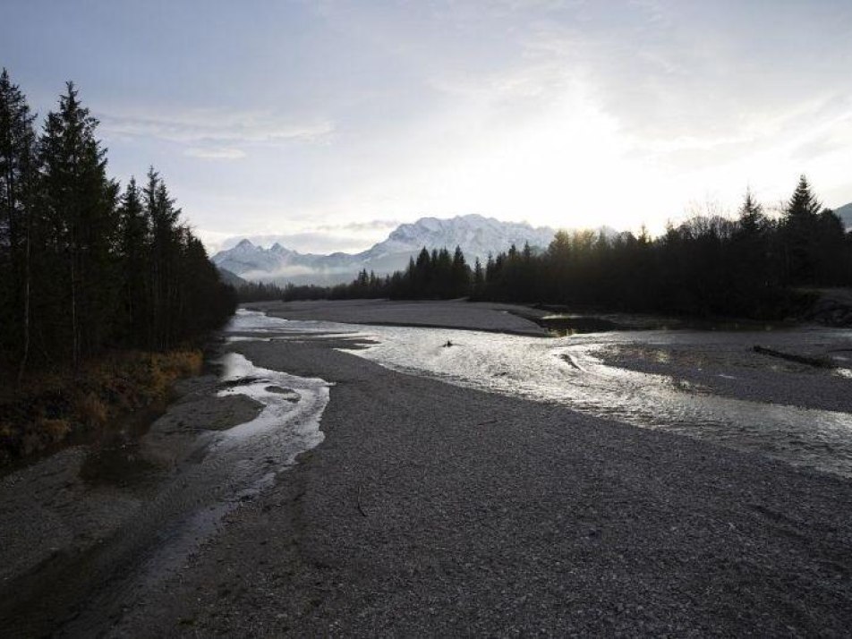 Exkursion / Abendbalz der Waldschnepfen an der Isar, © Alpenwelt Karwendel | kreativ-instinkt.de