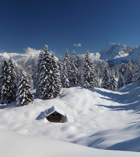 Winterliche Buckelwiesen mit Schnee aufgenommen am Kranzberg bei Mittenwald, © Alpenwelt Karwendel | Rudolf Pohmann