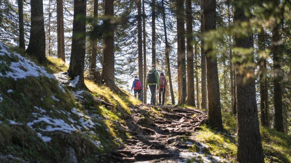 Ob Waldsteig, Gipfelgrat oder flache Wege - in der Alpenwelt Karwendel ist für jeden Naturfan was dabei!, © Alpenwelt Karwendel | Dietmar Denger